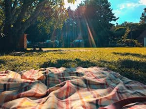 picnic blanket under tree - stay safe outdoors during COVID-19