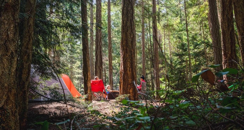 family camping in woods knows first aid for insect bites and stings